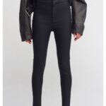 Faux leather dilvin pant